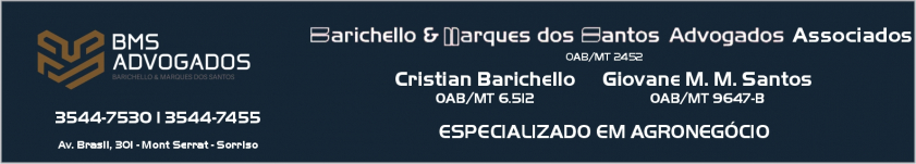 Advocacia Barichello & Marques dos Santos Advogados Associados
