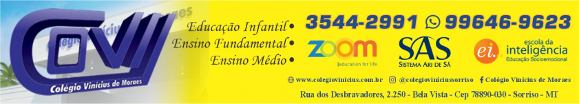 Colégio Vinícius de Moraes