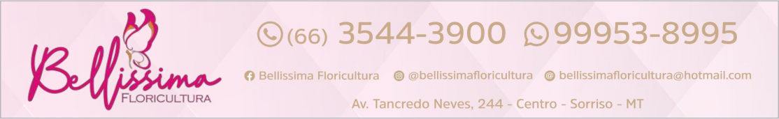 Topo