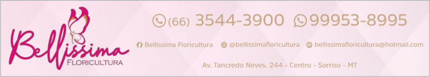 Floricultura Bellíssima