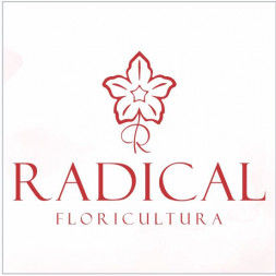 floricultura-radical
