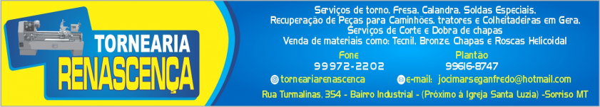 Tornearia Renascença