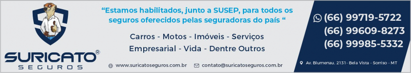 Seguros Suricato