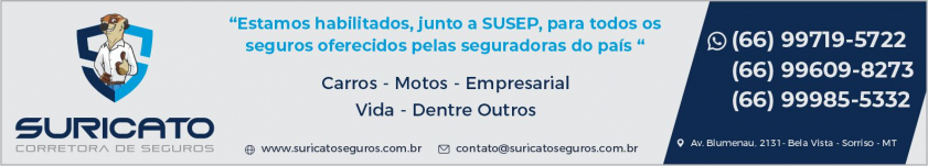 Seguros Suricato