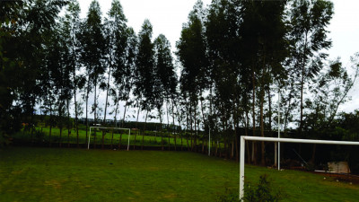Galeria
